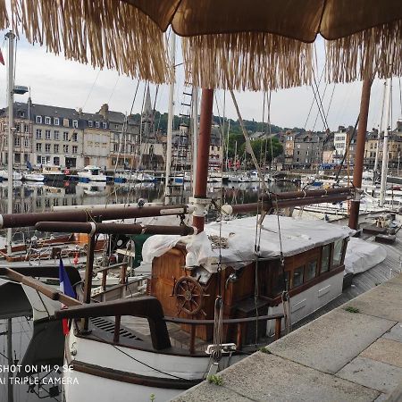 Proche Honfleur Gite Avec Piscine エクモヴィル エクステリア 写真