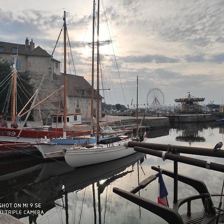 Proche Honfleur Gite Avec Piscine エクモヴィル エクステリア 写真