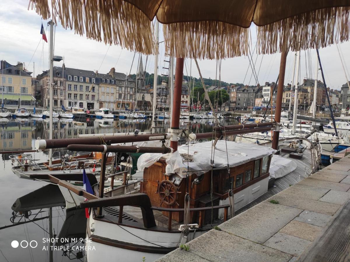 Proche Honfleur Gite Avec Piscine エクモヴィル エクステリア 写真