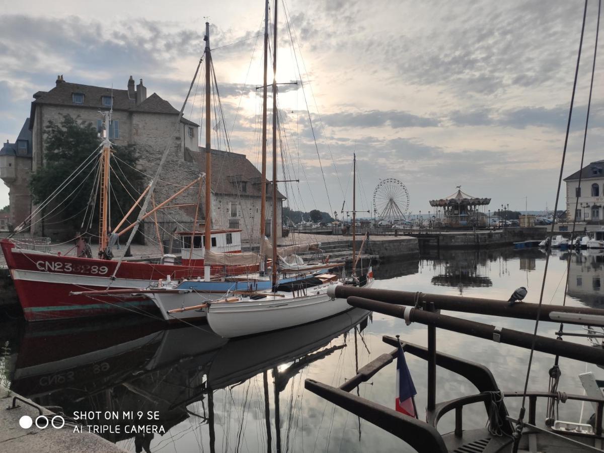 Proche Honfleur Gite Avec Piscine エクモヴィル エクステリア 写真